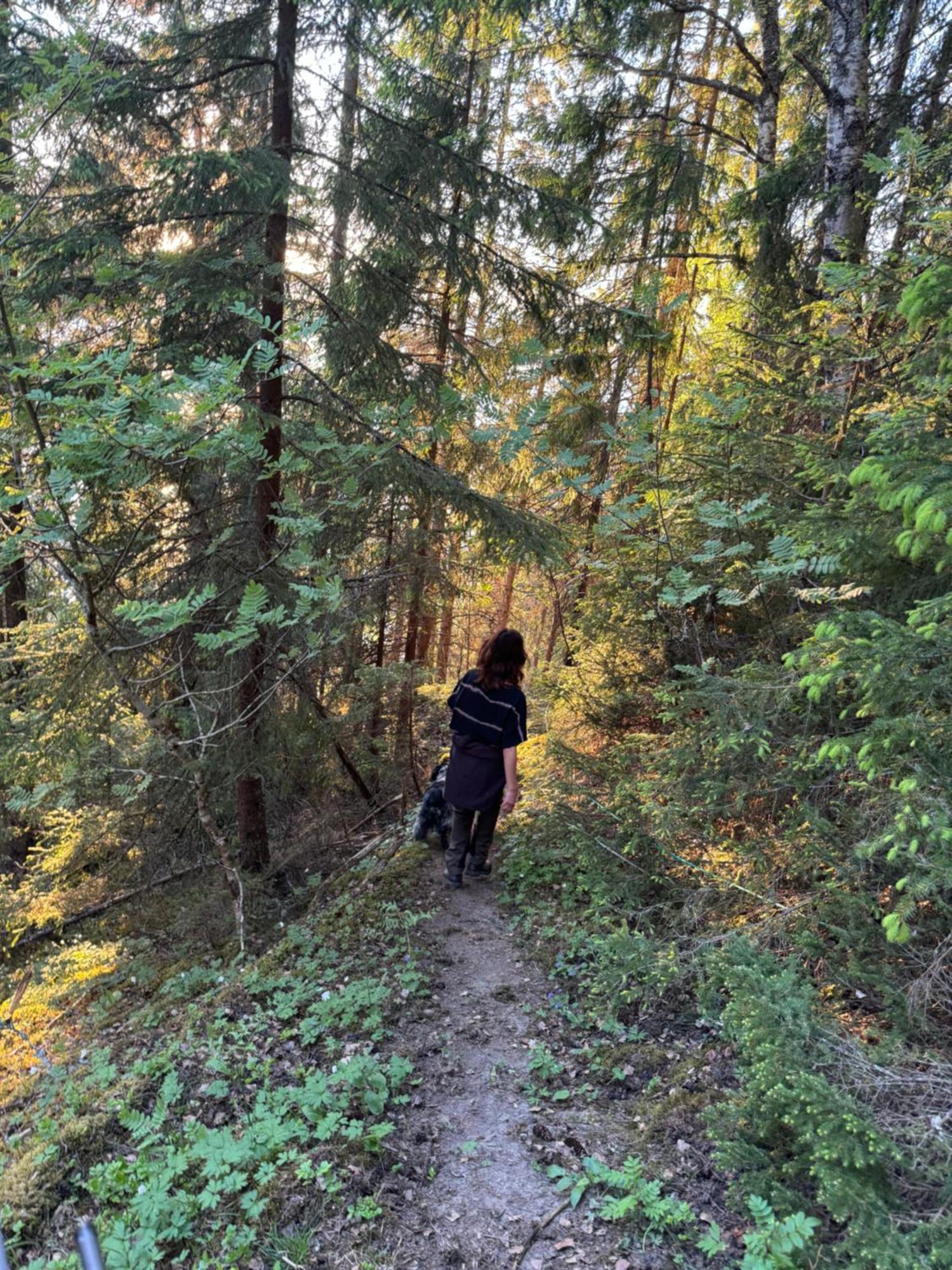 Skarnsundet 3 Villa Vangshylla Buitenkant foto